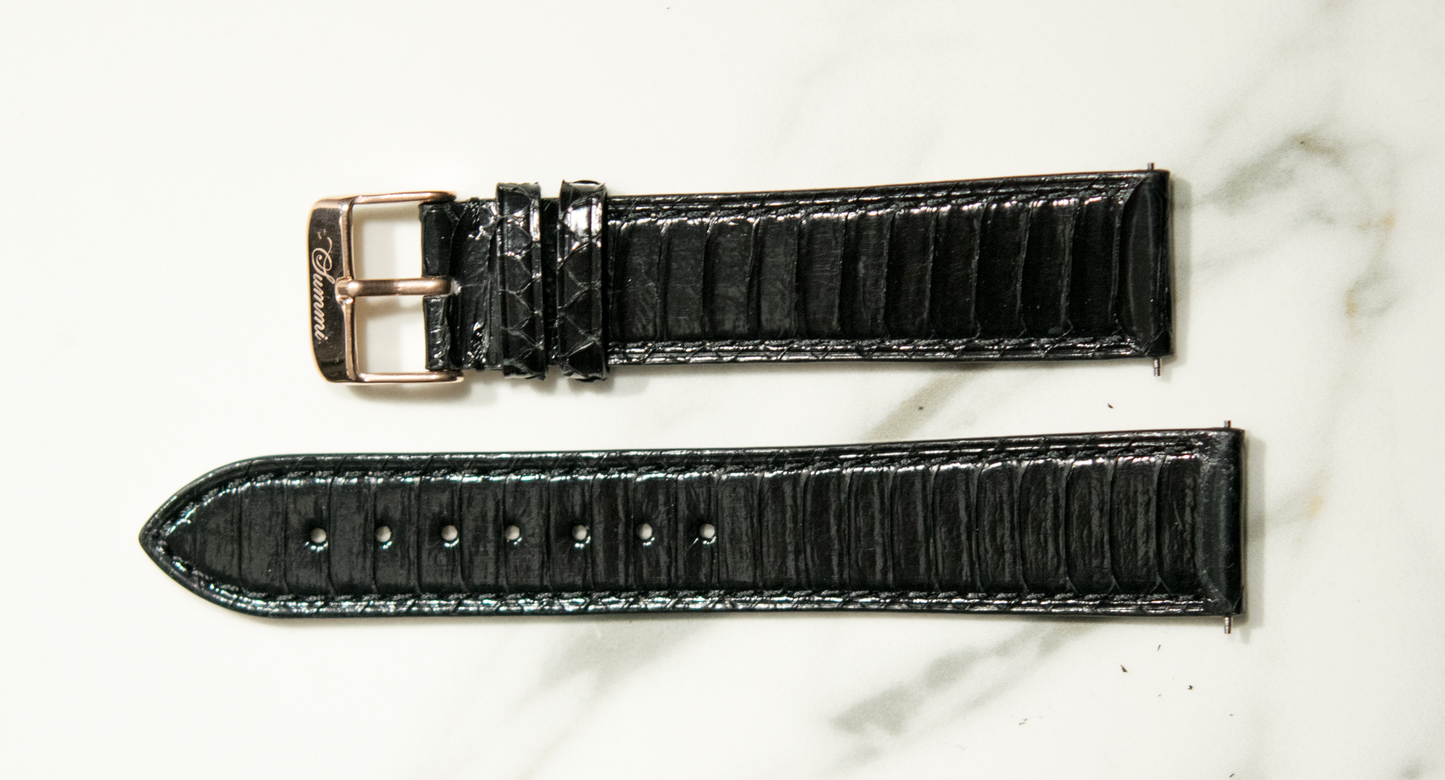 Black Winged Python Band