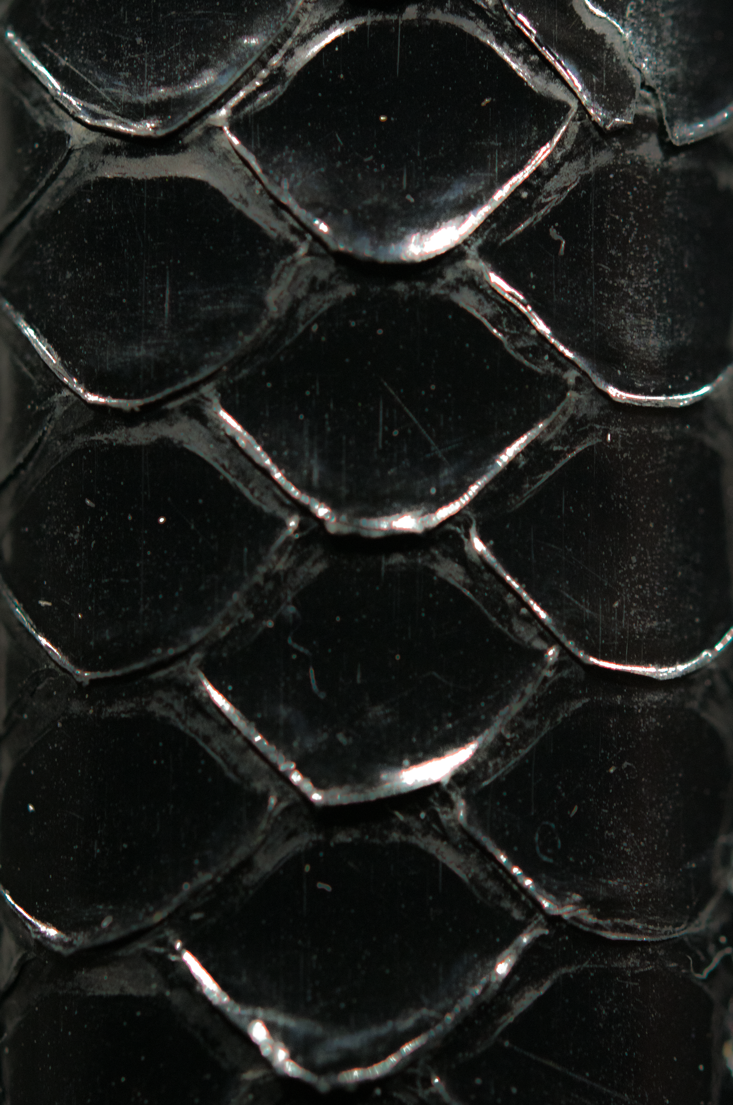 Black Python Scales Band