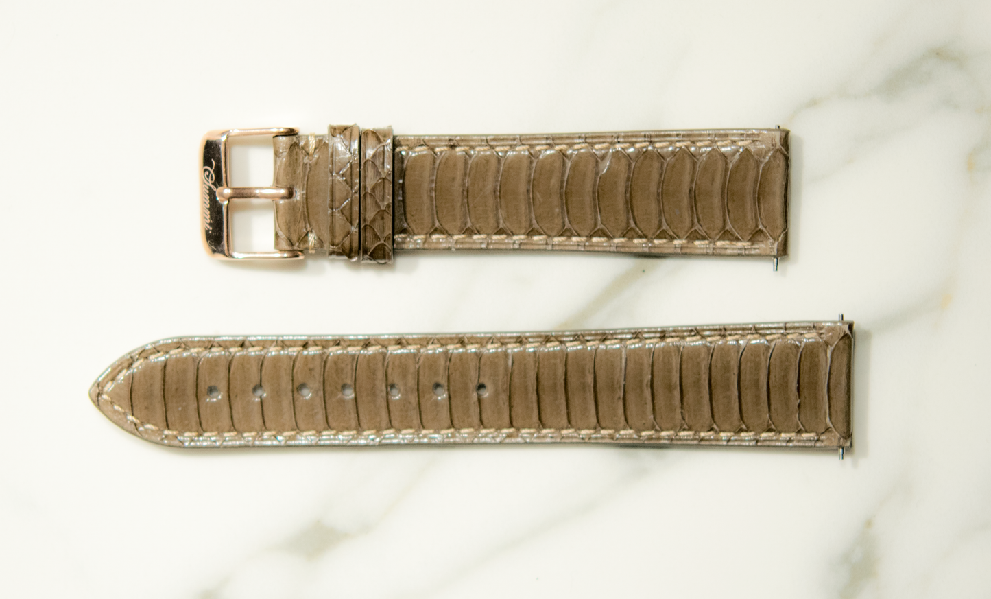 Brown Winged Python Band