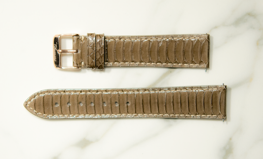 Brown Winged Python Band