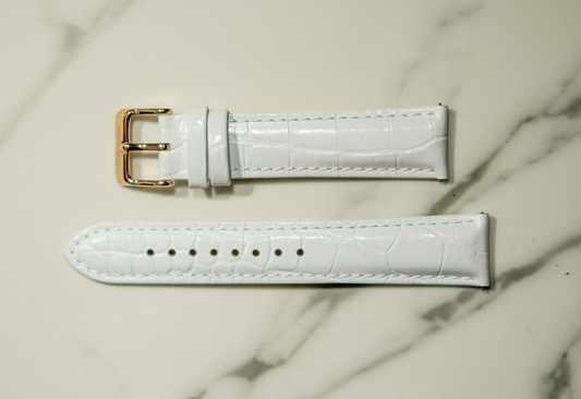 White Crocodile Band