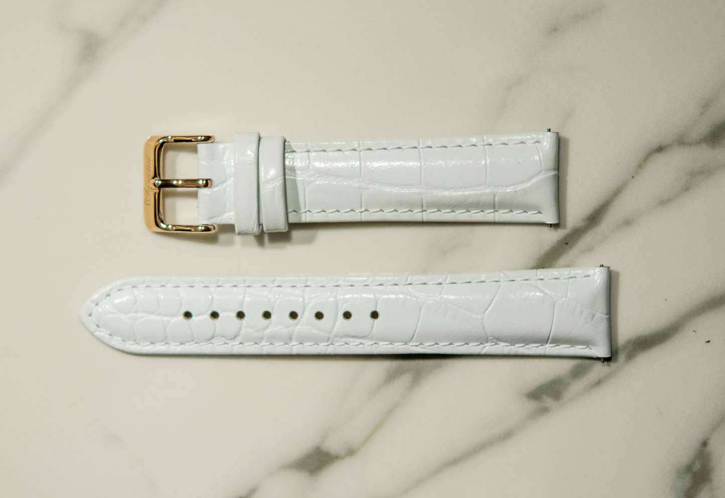 White Crocodile Band