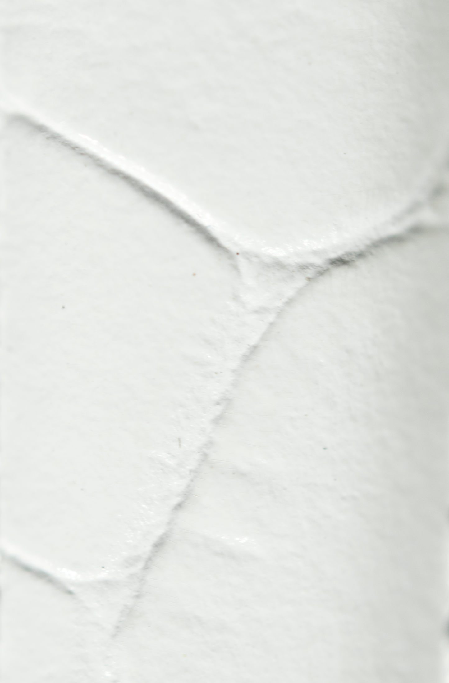 White Crocodile Band