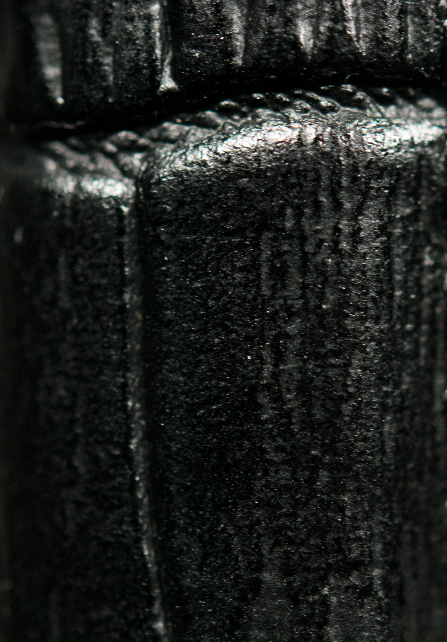 Black Crocodile Band