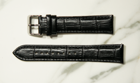 Black Crocodile Band
